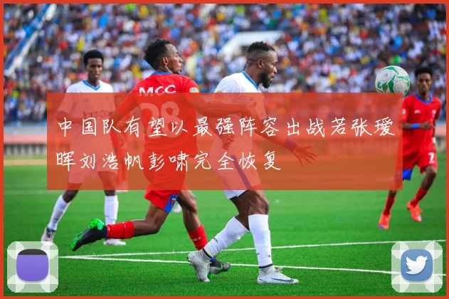 中国队有望以最强阵容出战若张瑷晖刘浩帆彭啸完全恢复